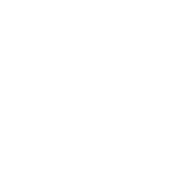 logo ville de Sainnt-Malo