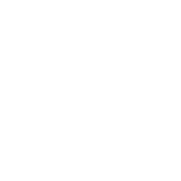 logo de la saif