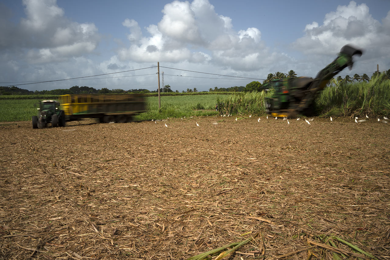 Abymes, Guadeloupe 2022